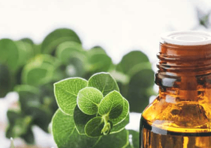 Eucalyptus oil in an amber glass dropper bottle